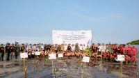Upaya Konsisten Lestarikan Lingkungan, Kembali PLN UIP JBTB Gandeng Taman Nasional Baluran serta Komunitas Setempat Tanam Puluhan Ribu Mangrove