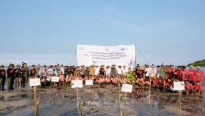Upaya Konsisten Lestarikan Lingkungan, Kembali PLN UIP JBTB Gandeng Taman Nasional Baluran serta Komunitas Setempat Tanam Puluhan Ribu Mangrove