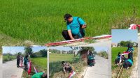 Kuatkan Sinergritas Dan Peradaban Dalam Menyambut HUT RI Ke 78, Pemdes Trucuk Kerja Bhakti Pasang Bendera