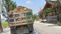 Dump Truk Pemuat Hasil Galian C Desa Sumberjo Trucuk Lewati Jalan Raya, Tanpa Tutup Terpal Membahayakan Pengguna Jalan