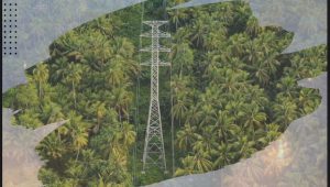 PLN Luncurkan Laporan TCFD Pertama untuk Mendukung Transisi Energi Rendah Karbon