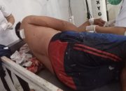 Residivis (Opo Kandang) Berulah, Tikam Warga Manembo- Nembo dengan Taji Ayam
