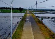 Pemasangan PJU Telah Merata di Wilayah Kecamatan, Warga Bojonegoro Makin Merasa Aman dan Nyaman  