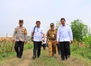 Kapolres Tuban AKBP Suryono Dampingi Kementan Tinjau Panen Jagung di Tuban