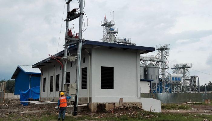 Disuplai Listrik PLN, Pabrik Jagung Milik Pemprov Sumbar Kini Mampu Produksi Hingga 50 Ton per Hari