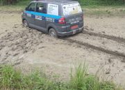 Di duga Akibat supir ngantuk ambulan desa Sido bangun terperosok ke persawahan