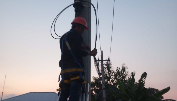 PLN Icon Plus Pastikan Perangkat, Jaringan dan Infrastruktur Beroperasi Normal Pasca Gempa Tuban