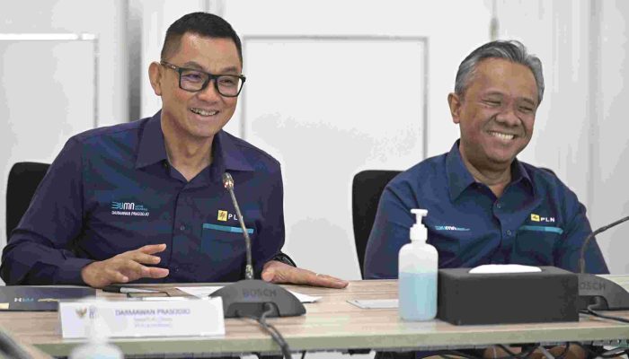Menteri BUMN Tetapkan Jajaran Komisaris Baru PLN, Nawal Nely Gantikan Tedi Bharata