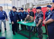 Nekat Beraktivitas tanpa Izin Di Perairan Lamongan, Kapal TSDH Sorong PT LIS Di Segel Oleh Kementerian Kelautan dan Perikanan (KKP)