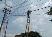 Jaga Estetika dan Keandalan Jaringan, PLN Icon Plus Lakukan Perapihan Kabel di Tiang PLN Pandaan, Kab.Pasuruan