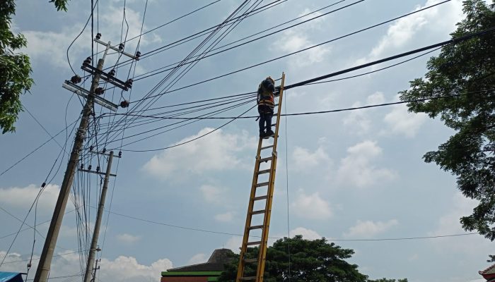 Jaga Estetika dan Keandalan Jaringan, PLN Icon Plus Lakukan Perapihan Kabel di Tiang PLN Pandaan, Kab.Pasuruan