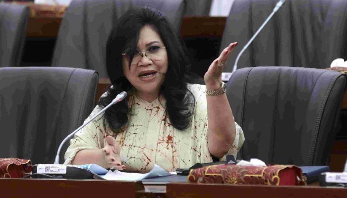 Komisi VI DPR RI Apresiasi Peningkatan Kinerja Keuangan PLN