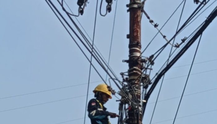 Lancarkan Apel Siaga Idul Fitri 1445 H, PLN Icon Plus Lakukan Penataan Kabel Di Gresik
