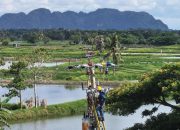 Akhirnya, 33 Dusun Terpencil Sulawesi Selatan Dilistriki PLN, Menyala 24 Jam!