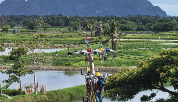 Akhirnya, 33 Dusun Terpencil Sulawesi Selatan Dilistriki PLN, Menyala 24 Jam!
