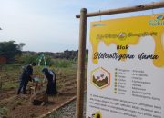 Kontribusi Tingkatkan Perekonomian Masyarakat, PLN Group Borong Penghargaan CSR Awards 2024 Kementerian Desa PDTT
