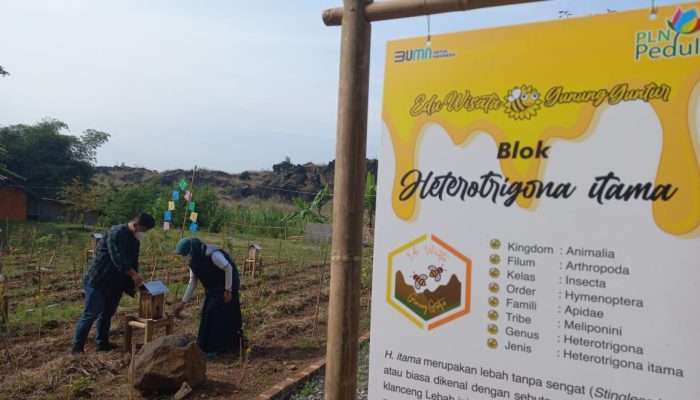 Kontribusi Tingkatkan Perekonomian Masyarakat, PLN Group Borong Penghargaan CSR Awards 2024 Kementerian Desa PDTT