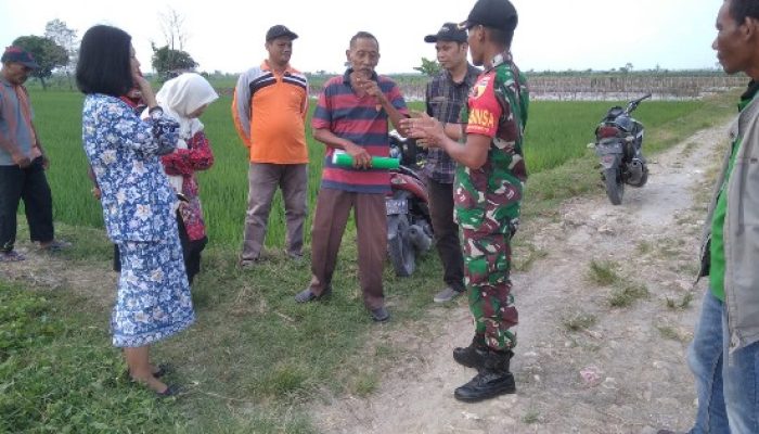 Babinsa Koramil 0813-09/Sumberrejo Lakukan Pendampingan Kunjungan Kepala Dinas Ketahanan Pangan dan Pertanian Bojonegoro di Desa Karangdinoyo