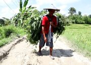 TMMD 120 Kodim Bojonegoro disambut Gembira Warga Malingmati dan Napis