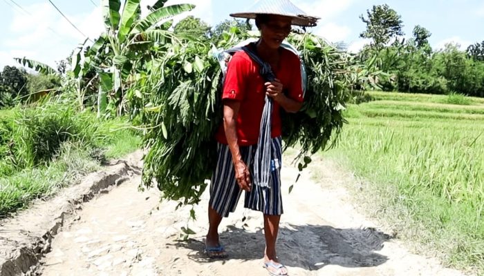 TMMD 120 Kodim Bojonegoro disambut Gembira Warga Malingmati dan Napis