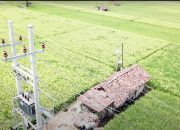 Berikan Kompensasi Listrik Rp 17,8 T ke PLN, Pemerintah Hadir Lindungi Rakyat Dalam Pemulihan Ekonomi