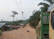 PLN Sukses Realisasikan PMN, Nyalakan 24 Jam Listrik di Wilayah 3T Riau