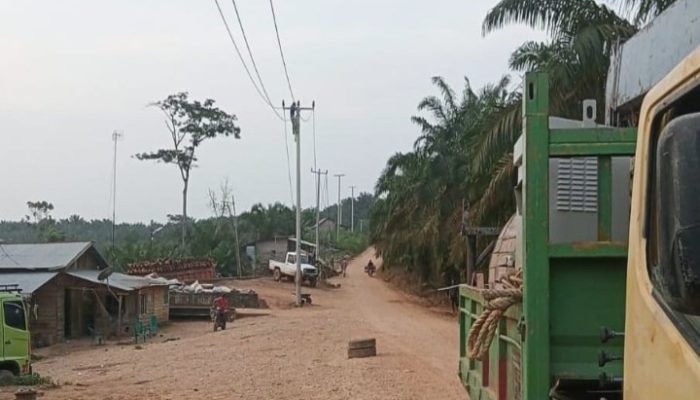 PLN Sukses Realisasikan PMN, Nyalakan 24 Jam Listrik di Wilayah 3T Riau