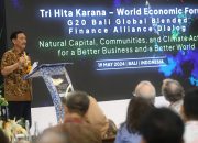 Di Forum Ekonomi Tri Hita Karana, PLN bersama Pemerintah Ajak Komunitas Global Berkolaborasi dalam Pendanaan Transisi Energi