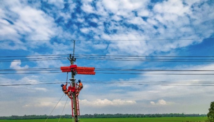 Pendapatan PLN Tumbuh Signifikan Mencapai Rp487 Triliun, Ditopang Peningkatan Penjualan Tenaga Listrik