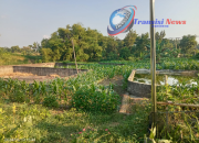 LSM PIPRB Tanggapi Mangkraknya Proyek Multi Years yang Gunakan Anggaran DD Th.2017 di Desa Sukorejo Kecamatan Malo Kabupaten Bojonegoro