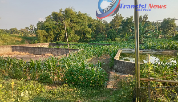 LSM PIPRB Tanggapi Mangkraknya Proyek Multi Years yang Gunakan Anggaran DD Th.2017 di Desa Sukorejo Kecamatan Malo Kabupaten Bojonegoro