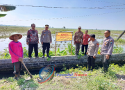Kapolsek Babat Turun Langsung Pemasangan Banner Himbauan Dilarang Memasang Perangkap Tikus Mengunakan Aliran Listrik Di Sawah