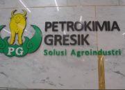 Buruh Tak Dapat BPJS, Ini Pengakuan Bos PT Selamet Putra Rekanan PT Petrokimia Gresik