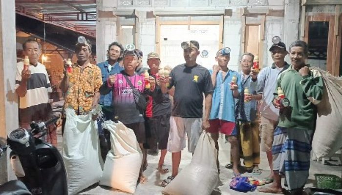 Poktan Bersama Masyarakat Desa Temu Kompak Basmi Hama Tikus