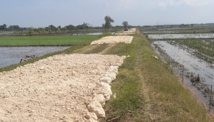 Pengerjaan Proyek dari Dana CSR Dari Bank BNI Untuk Desa Kebalanpelang Patut Di Evaluasi