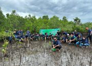 Peringati Hari Lingkungan Hidup Sedunia, PLN Tanam 3.000 Mangrove di Pesisir Sulawesi Utara