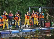 Peringati Hari Lingkungan Hidup Sedunia, PLN Gelar Aksi Bersih dan Olah Sampah di 54 Lokasi Se-Indonesia