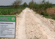 Dugaan Mark Up Proyek Perawatan Jalan Desa Nglarangan, Ini Alasan Kades..?? 