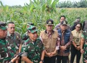 Danseskoad dan Kapok Sahli Pangdam Brawijaya Tinjau Pelaksanaan KKL Wilhan di Lamongan