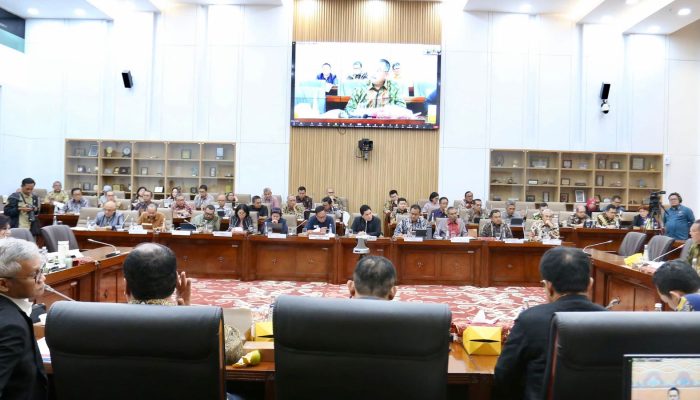 Untuk Bangun Kelistrikan Daerah Terpencil PLN Ajukan PMN 2025 Sebesar Tiga Triliun
