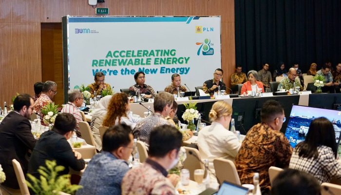 Dukung Dekarbonisasi di Sektor Industri, PLN Siap Suplai Listrik Hijau Melalui Layanan GEAS