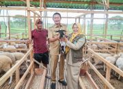  Potensi Peternakan Lamongan Terus Dipacu untuk Jadi Unggulan