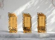 Lestari Award 2024: Dirut PLN Sabet _Sustainable Leader of The Year in Energy Transition_