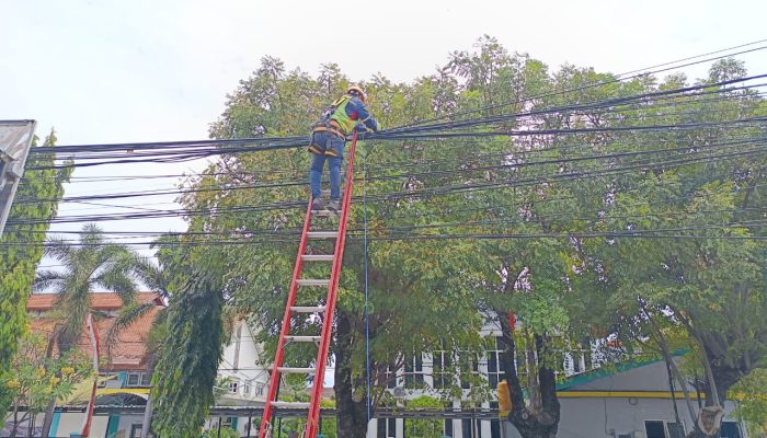 PLN Icon Plus Menata Kabel FO di Tiang PLN Madiun Kota Guna Jaga Estetika Kota dan Keandalan Jaringan