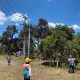 Img 20240914 Wa0114