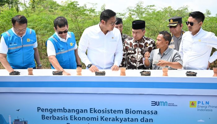 Terus Kembangkan Bahan _Co-Firing_ Biomassa, PLN Bersama Kementan Luncurkan Model Pertanian Terpadu