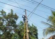 PLN Icon Plus Menata Kabel di Tiang PLN Kota Surabaya Guna Menjaga Keandalan Layanan