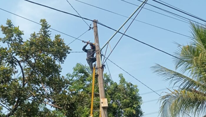 PLN Icon Plus Menata Kabel di Tiang PLN Kota Surabaya Guna Menjaga Keandalan Layanan