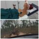 Img 20241112 Wa0004
