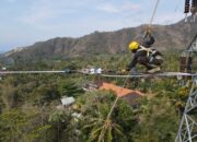 Jelang Nataru: PLN UIP JBTB Sukses Energize SUTT 150 kV Kubu-Amlapura: Dukung Evakuasi Daya PLTS Bali Timur